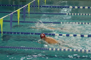 开云体育app官网-世界游泳锦标赛中国女将再获金牌，世界游泳锦标赛2020