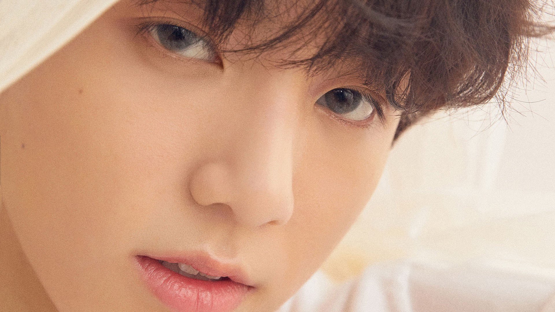 亚冠联赛中国青年队晋级 球迷纷纷点赞，亚冠 青年军