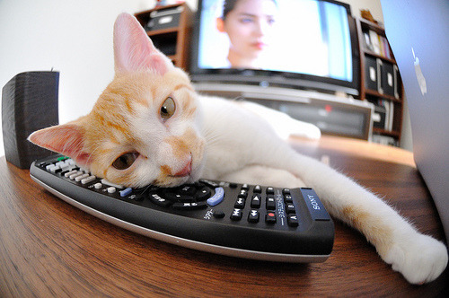 开云app-出发反应时间中立B选手位居组内前列