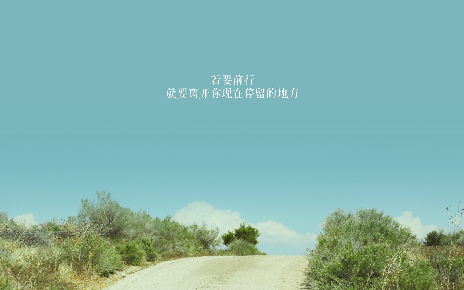 开云app-深圳领航队比赛阅读能力增强识破对手布阵，深圳领航者比赛记录