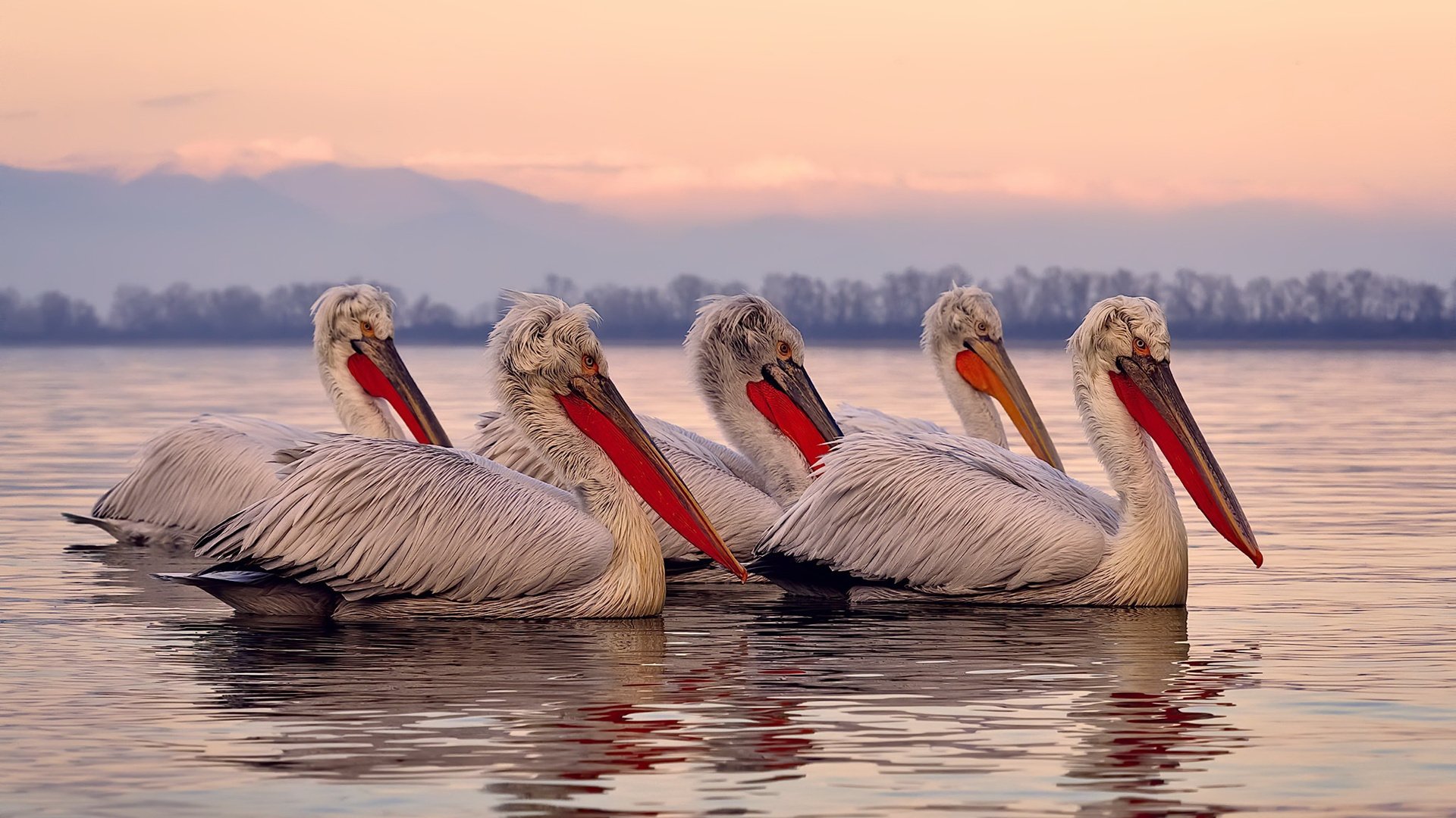 篮球基层联赛引发学生参赛热潮，组织篮球联赛