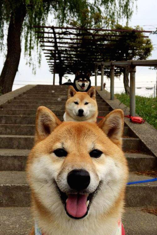 “费尔南多·比亚尔巴的球技创新,带领阿根廷美洲狮队冲击世界冠军”