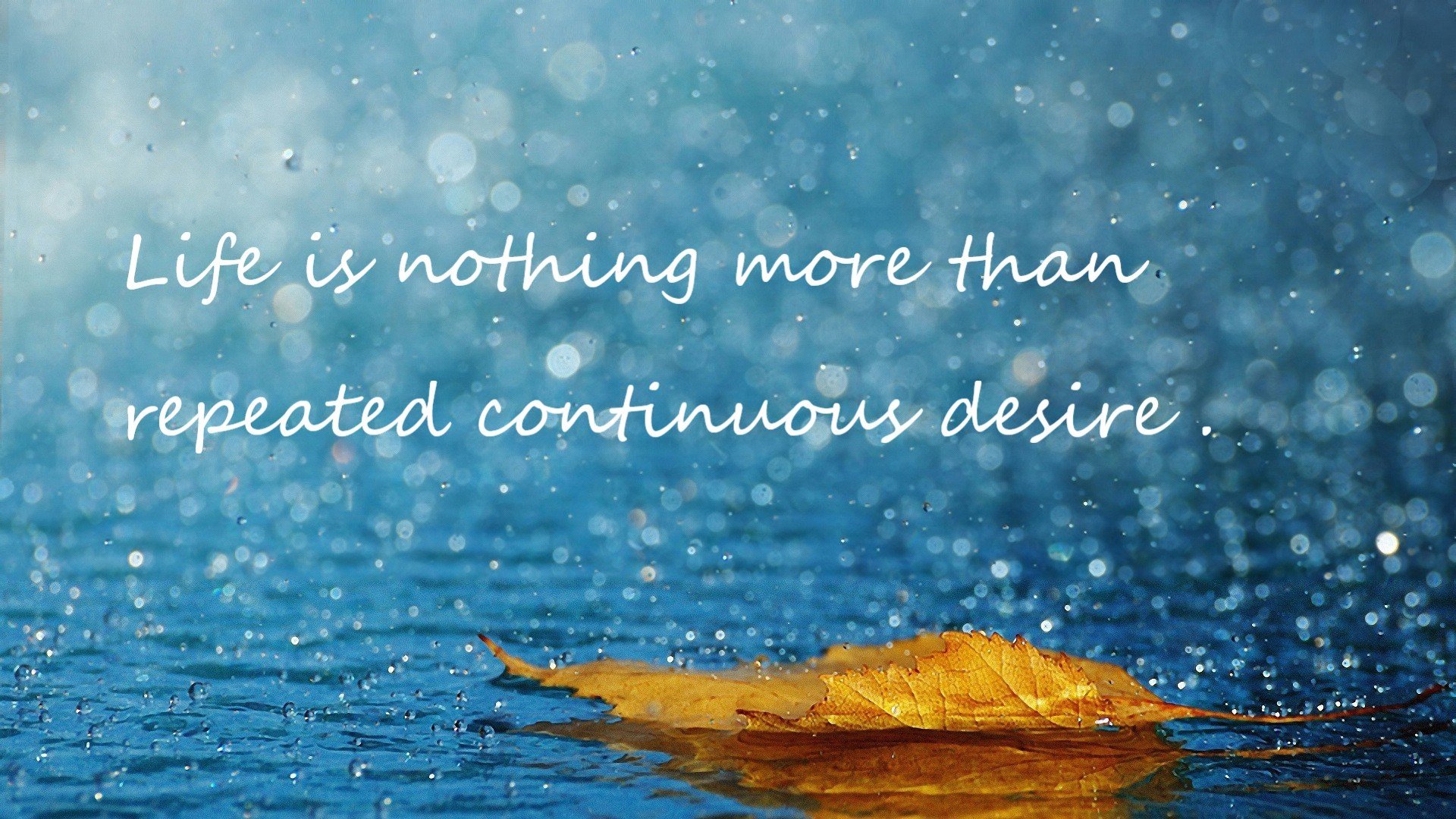 开云体育入口-法甲未来之星：新秀崭露头角引领潮流！，法甲新赛季宣传片