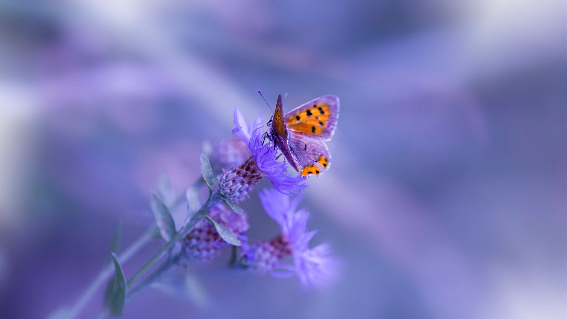 球员临场应变能力提升战术执行效果显著优化，总结临场应变的技能