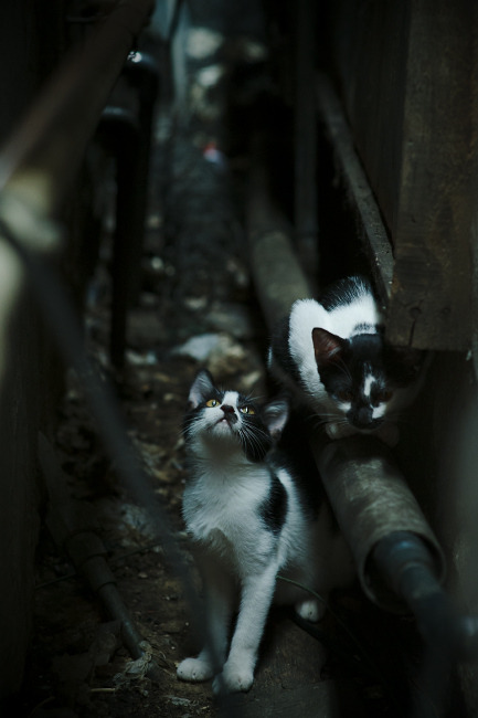 PSG控球率高,海湾者拼抢激烈,海湾gso