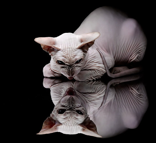 开云官网-两大能源集团战略合并，对应 5 股公告，我国能源集团有几个